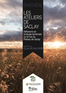 Cover page of the Synthesis of Saclay Workshops