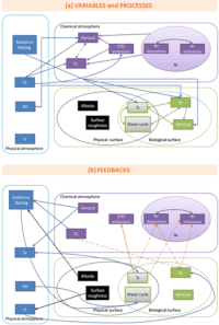 Variables, processes and feedbacks