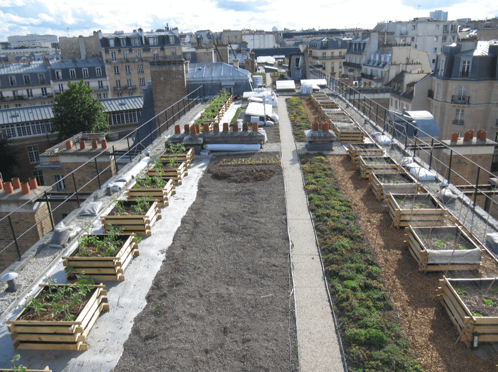 Vegetable and extensive roofs: biodiversity, soils and practices